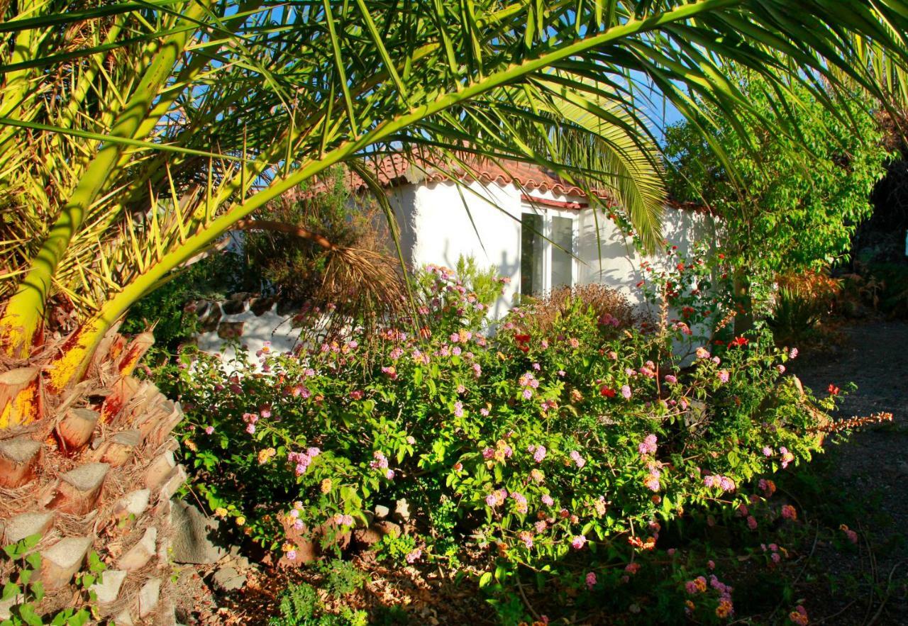 Finca Cosmos El Paso Exterior foto